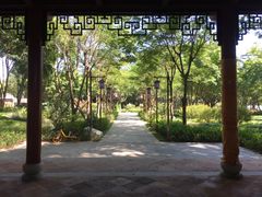 -顺峰山公园