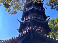 -上海佘山国家森林公园西佘山园