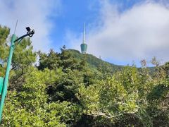 -梧桐山风景名胜区