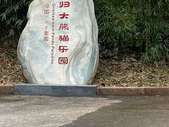 -中国大熊猫保护研究中心雅安碧峰峡基地