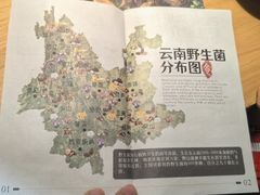 -一朵菌·野生菌探索家火锅(南亚店)