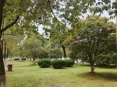 -艾溪湖湿地公园