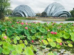 -上海植物园-4号门售票处