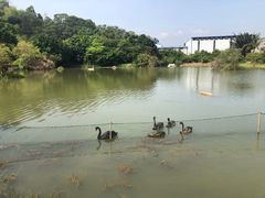 -厦门悦华酒店