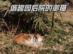 -颐和园