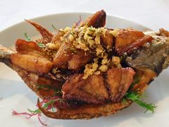 茉莉花熏鲳鱼-宝丽轩中餐厅BAOLIXUAN