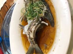 -顺德美食坊(南沙分店)