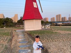 -菊园百果园