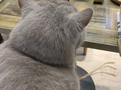 -小时光咖啡馆(北锣鼓巷店)