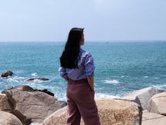 -广东惠东海龟国家级自然保护区