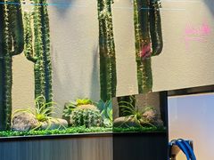 -青水瓦台汤泉(未央店)