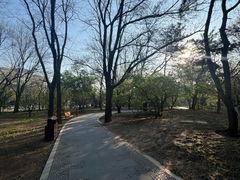 -元大都城垣遗址公园