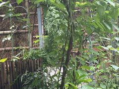 -谷咖啡·鲜花绿植花园餐厅