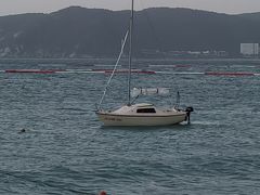 -三亚亚龙湾红树林度假酒店