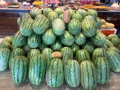 -幸福的烤包子·新疆菜