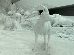 -中国湿地博物馆