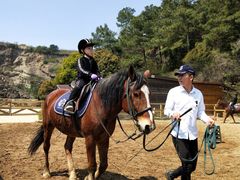 -枫露马术学院(藏书校区)