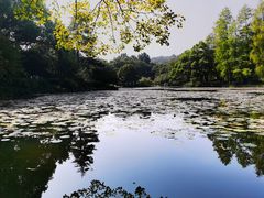 -杭州植物园