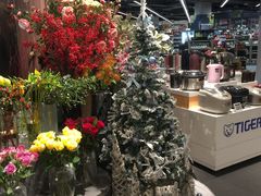 -Olé精品超市(广州太古汇店)