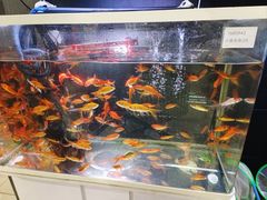 -中商平价(光谷店)