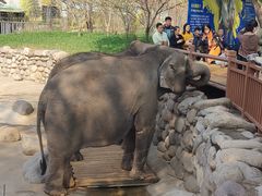 -北京野生动物园