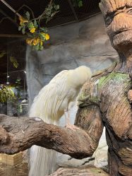 -Zoolung Zoolung动物主题公园(海信广场店)