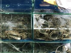 水产区-北京清河镇农副产品交易市场中心