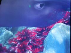 -珠海横琴国家地理探险家中心(创新方)