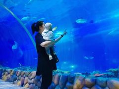 -华夏文旅海洋公园