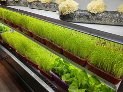 -番食园鲜食火锅(高新店)