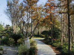 -上海长兴岛郊野公园