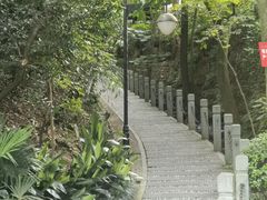 -十八棵（老龙井）御茶园(老龙井店)
