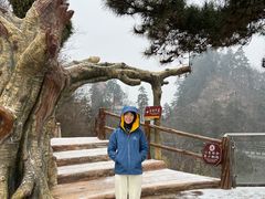 -塔云山