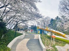 -杭州少年儿童公园