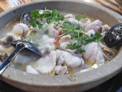 -大鼎石锅鱼(春江里店)