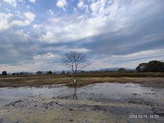 -良渚古城遗址公园