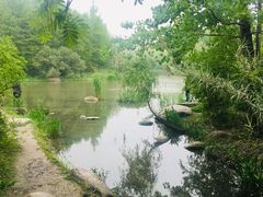 -新江湾城公园