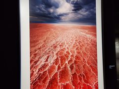 -罗红摄影艺术馆