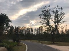 -昆山城市生态森林公园