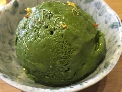 -柴务处·柴犬主题狗咖