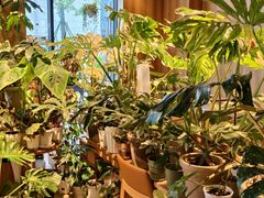 -1861意大利餐厅(文化广场店)