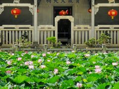 -资政大夫祠
