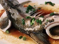 -八仔大富楼·河鲜(西江店)