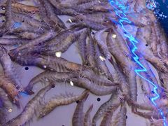 -澜悦港海鲜体验主题餐厅