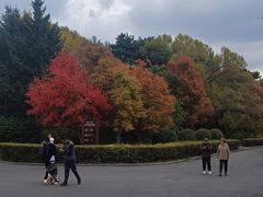 -长春市南湖公园