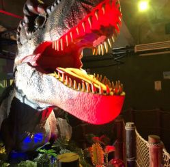 -恐龙探索乐园(磁器口店)