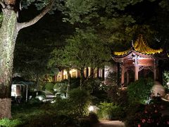 -十八棵（老龙井）御茶园(老龙井店)