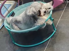 -萌兽医馆·眼科·异宠专科(三里屯店)