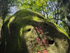 -大围山国家森林公园