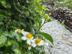 -悦来居•农家美食•生态有机•老式民宅(溪头村店)